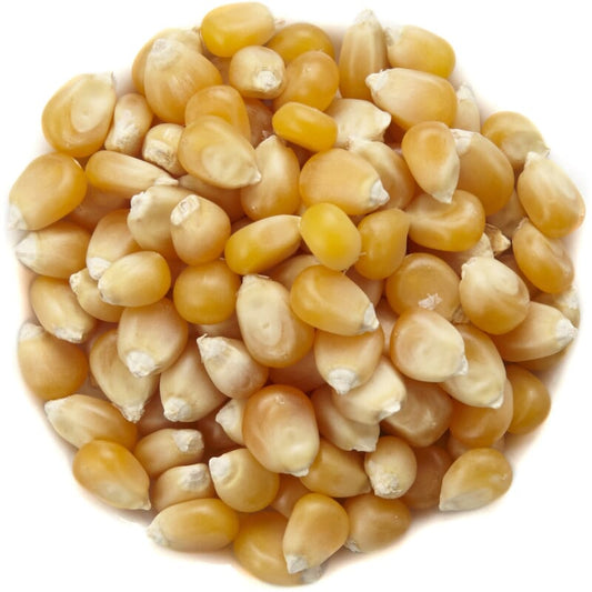 🌽 1 Kilo Popcornmaïs