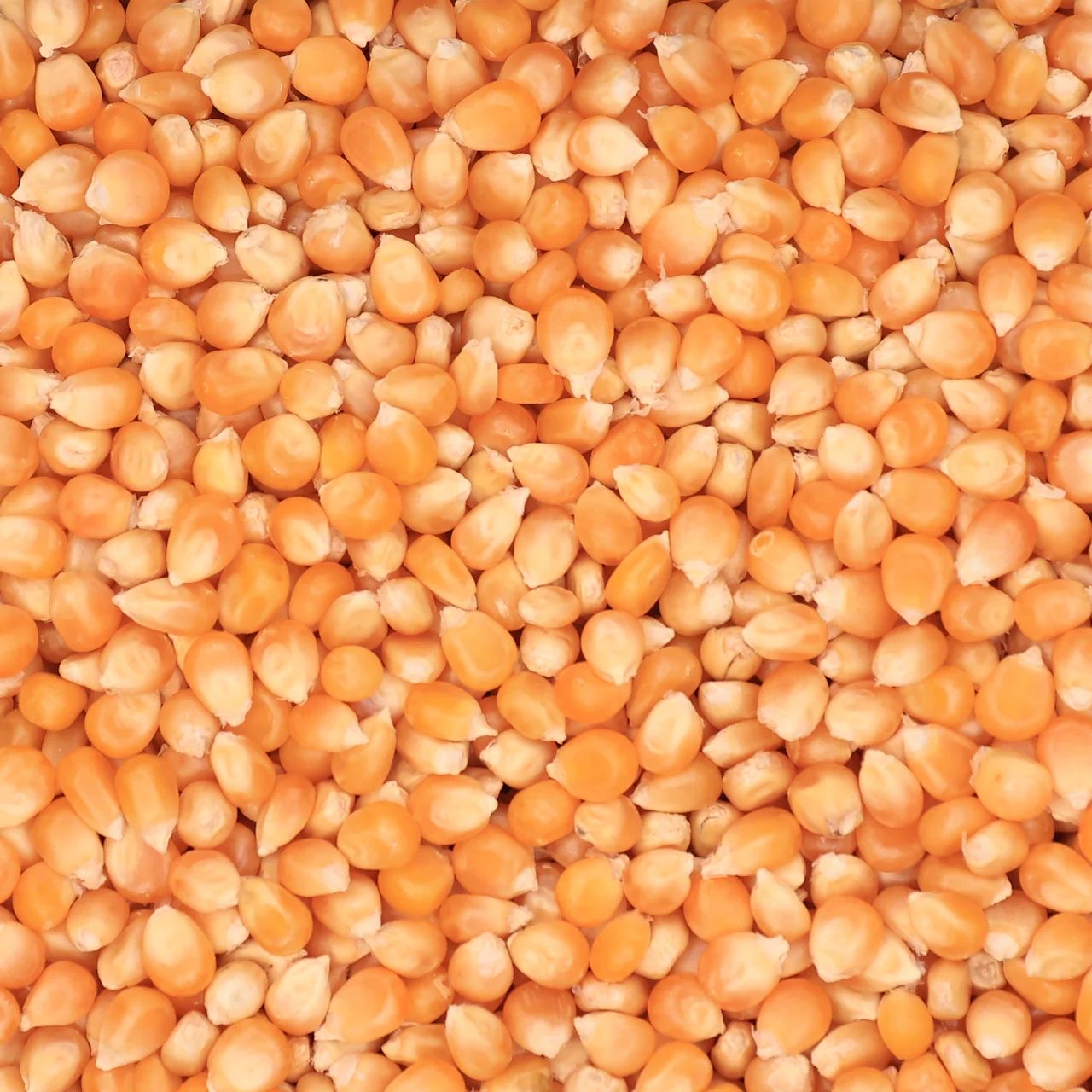 Popcorn Ingrediëntenpakket